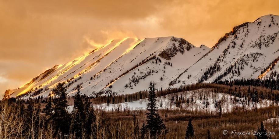Alpine Inn & Suites Ганнисон Экстерьер фото